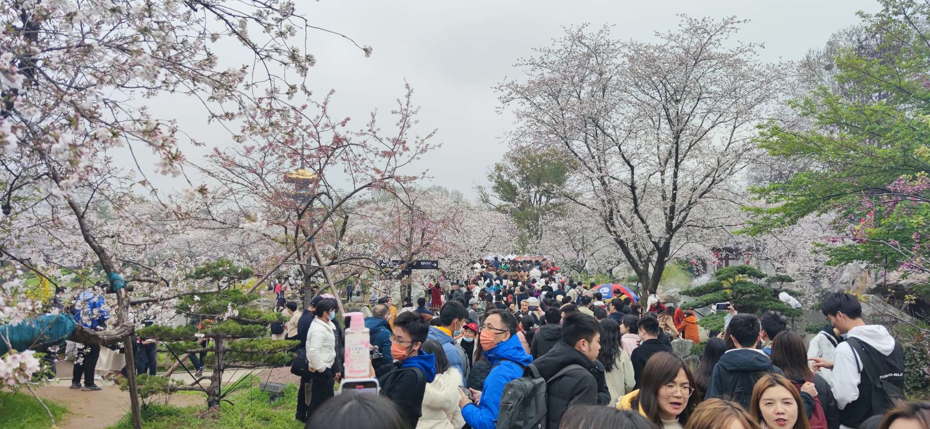 2023年3月-与狗子在武汉
