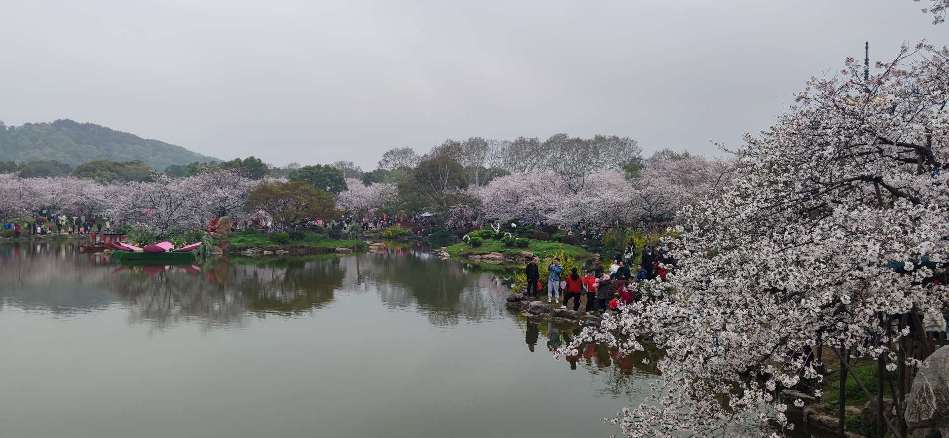2023年3月-与狗子在武汉